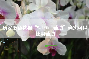 玩家必备教程“WePOKer辅助	”确实可以使用辅助