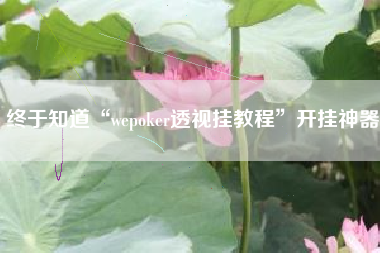 终于知道“wepoker透视挂教程”开挂神器