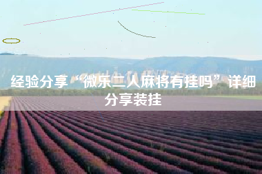 经验分享“微乐二人麻将有挂吗”详细分享装挂