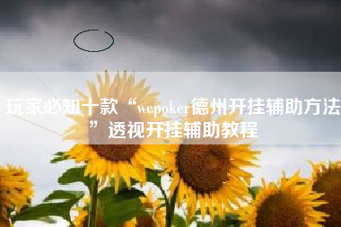 玩家必知十款“wepoker德州开挂辅助方法	”透视开挂辅助教程