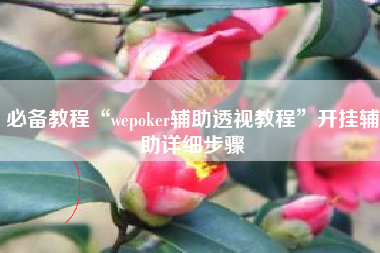 必备教程“wepoker辅助透视教程”开挂辅助详细步骤