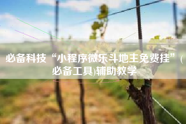 必备科技“小程序微乐斗地主免费挂”(必备工具)辅助教学