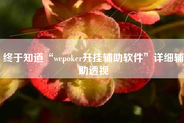 终于知道“wepoker开挂辅助软件	”详细辅助透视