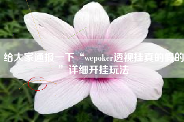 给大家通报一下“wepoker透视挂真的假的”详细开挂玩法