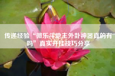 传递经验“微乐斗地主外卦神器真的有吗”真实开挂技巧分享