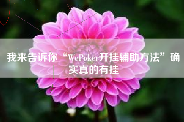 我来告诉你“WePoker开挂辅助方法”确实真的有挂