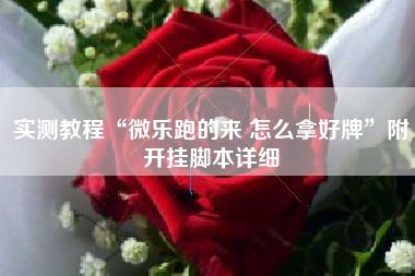 实测教程“微乐跑的来 怎么拿好牌”附开挂脚本详细