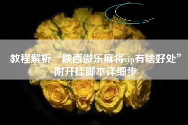 教程解析“陕西微乐麻将vip有啥好处”附开挂脚本详细步
