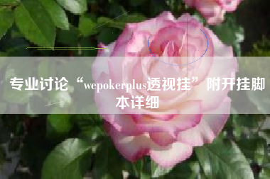 专业讨论“wepokerplus透视挂	”附开挂脚本详细
