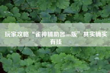 玩家攻略“雀神辅助器ios版”其实确实有挂