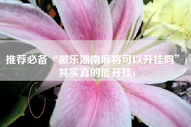 推荐必备“微乐湖南麻将可以开挂吗	”(其实真的能开挂)