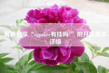解析分享“agpoker有挂吗?”附开挂脚本详细