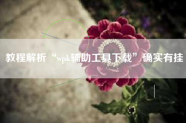 教程解析“wpk辅助工具下载	”确实有挂