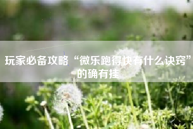 玩家必备攻略“微乐跑得快有什么诀窍”的确有挂