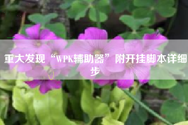 重大发现“WPK辅助器”附开挂脚本详细步