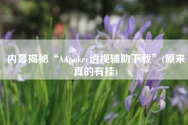 内幕揭秘“AApoker透视辅助下载”(原来真的有挂)