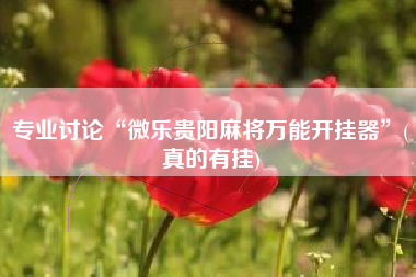 专业讨论“微乐贵阳麻将万能开挂器”(真的有挂)