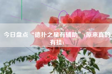 今日盘点“德扑之星有辅助	”(原来真的有挂)