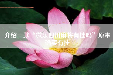 介绍一款“微乐四川麻将有挂吗	”原来确实有挂