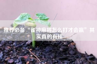 推荐必备“雀神麻将怎么打才会赢	”其实真的有挂