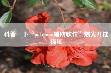科普一下“pokemon辅助软件”爆光开挂猫腻