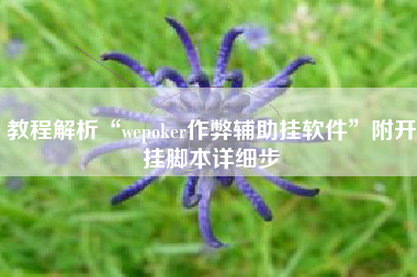 教程解析“wepoker作弊辅助挂软件”附开挂脚本详细步