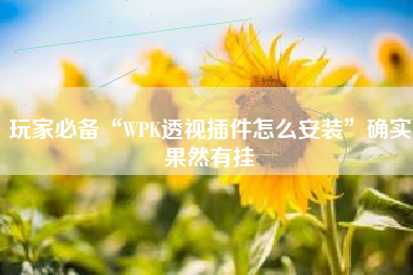 玩家必备“WPK透视插件怎么安装	”确实果然有挂