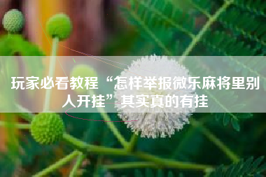 玩家必看教程“怎样举报微乐麻将里别人开挂”其实真的有挂