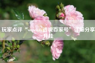 玩家点评“wepoker透视百家号”详细分享开挂