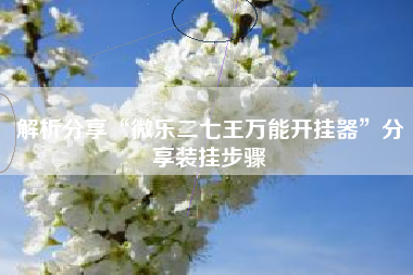 解析分享“微乐二七王万能开挂器”分享装挂步骤