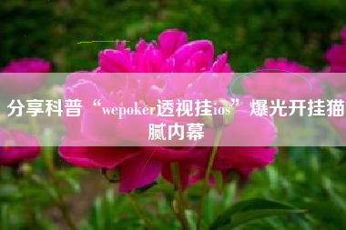 分享科普“wepoker透视挂ios	”爆光开挂猫腻内幕