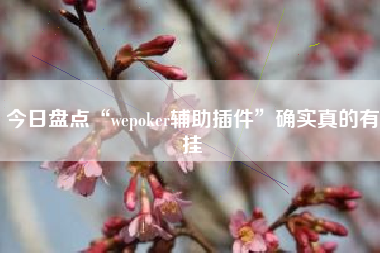 今日盘点“wepoker辅助插件”确实真的有挂
