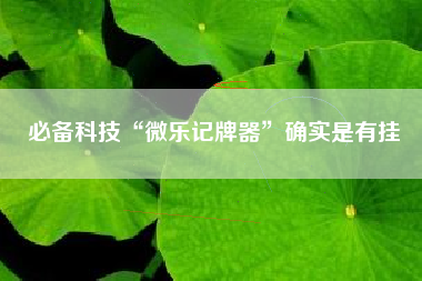 必备科技“微乐记牌器	”确实是有挂