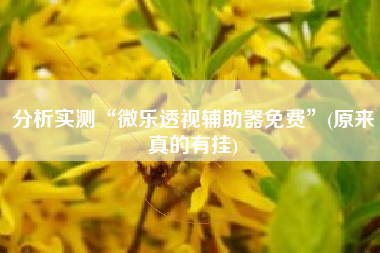 分析实测“微乐透视辅助器免费”(原来真的有挂)