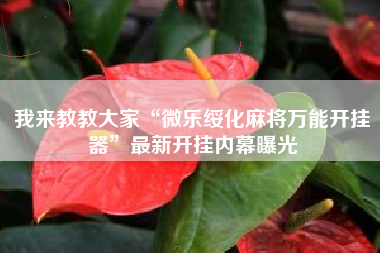 我来教教大家“微乐绥化麻将万能开挂器”最新开挂内幕曝光