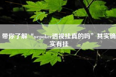 带你了解“wepoker透视挂真的吗”其实确实有挂