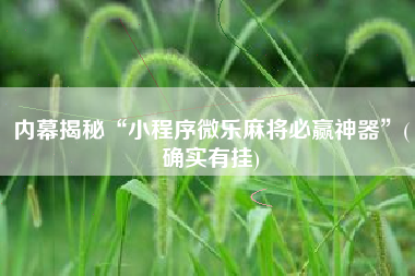 内幕揭秘“小程序微乐麻将必赢神器”(确实有挂)