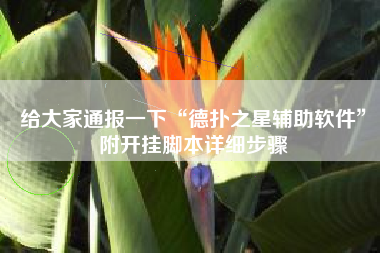 给大家通报一下“德扑之星辅助软件	”附开挂脚本详细步骤