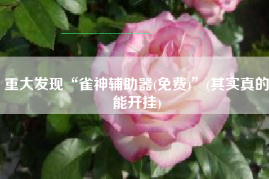 重大发现“雀神辅助器(免费)”(其实真的能开挂)