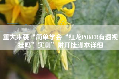 重大来袭“简单学会“红龙POKER有透视挂吗	”实测”附开挂脚本详细