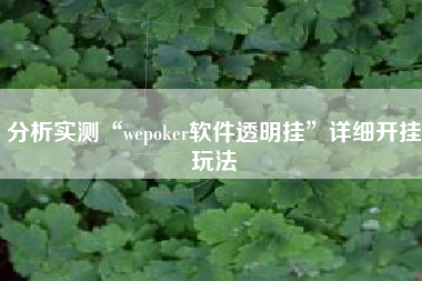 分析实测“wepoker软件透明挂	”详细开挂玩法