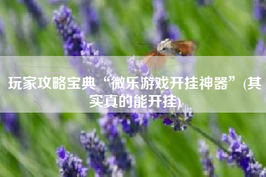 玩家攻略宝典“微乐游戏开挂神器”(其实真的能开挂)