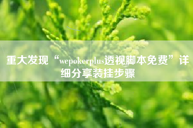 重大发现“wepokerplus透视脚本免费	”详细分享装挂步骤
