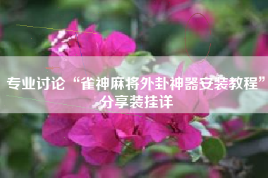 专业讨论“雀神麻将外卦神器安装教程”分享装挂详