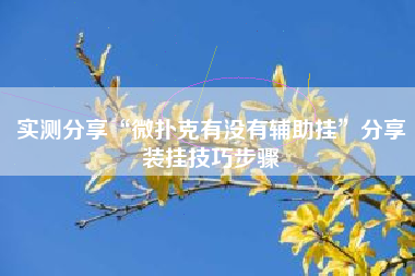 实测分享“微扑克有没有辅助挂”分享装挂技巧步骤