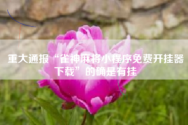 重大通报“雀神麻将小程序免费开挂器下载”的确是有挂