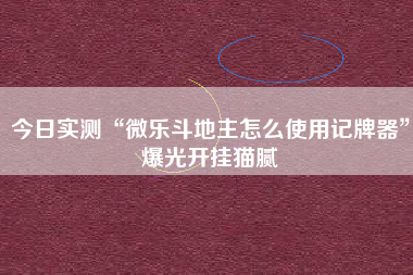 今日实测“微乐斗地主怎么使用记牌器”爆光开挂猫腻