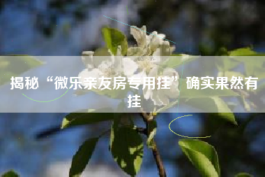 揭秘“微乐亲友房专用挂”确实果然有挂
