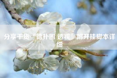 分享干货“德扑圈 透视”附开挂脚本详细