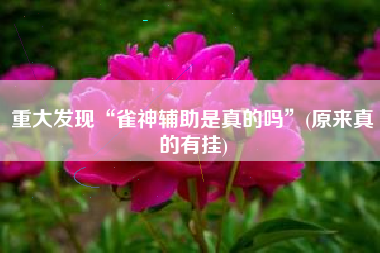 重大发现“雀神辅助是真的吗”(原来真的有挂)